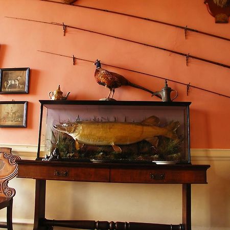 فندق Enniscoe House Crossmolina المظهر الخارجي الصورة